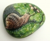 Painted Rock/ Snail in Moss