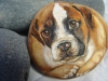 Custom Painted  Pet Rock